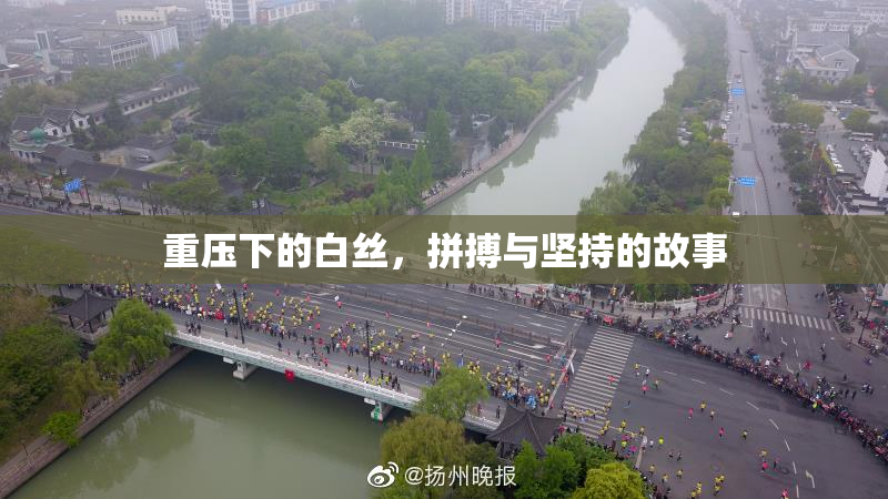重压下的白丝，拼搏与坚持的故事