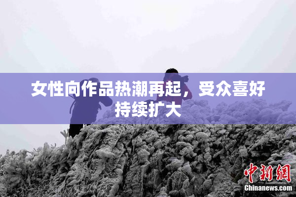 女性向作品热潮再起，受众喜好持续扩大
