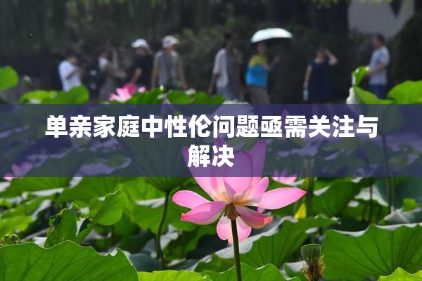 单亲家庭中性伦问题亟需关注与解决