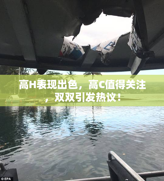 高H表现出色，高C值得关注，双双引发热议！