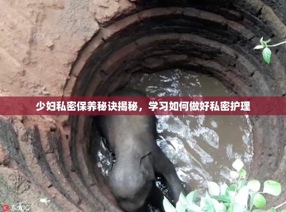 少妇私密保养秘诀揭秘，学习如何做好私密护理