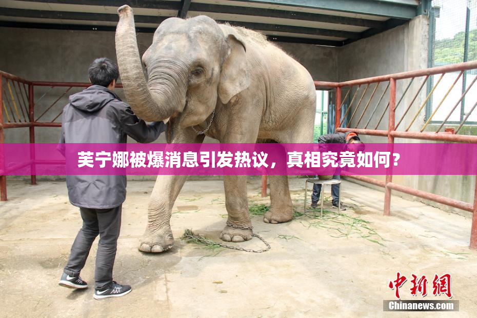 芙宁娜被爆消息引发热议，真相究竟如何？