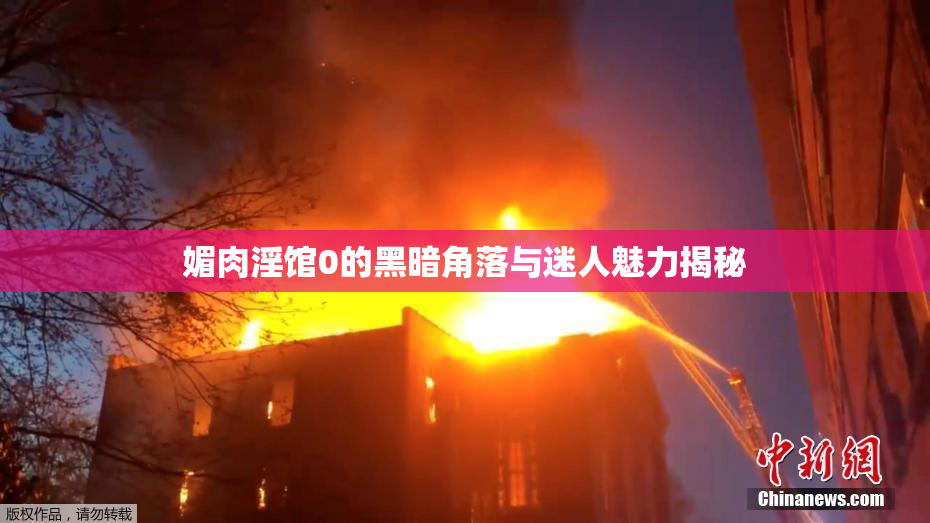 媚肉淫馆0的黑暗角落与迷人魅力揭秘