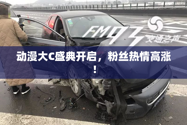 动漫大C盛典开启，粉丝热情高涨！