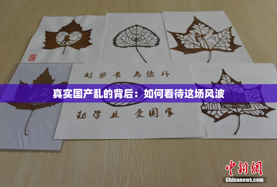 真实国产乱的背后：如何看待这场风波