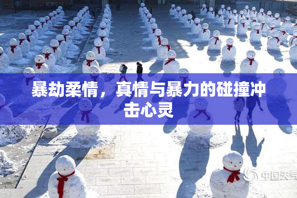 暴劫柔情，真情与暴力的碰撞冲击心灵