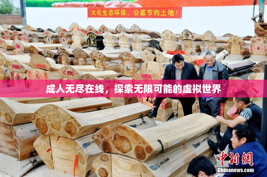 成人无尽在线，探索无限可能的虚拟世界