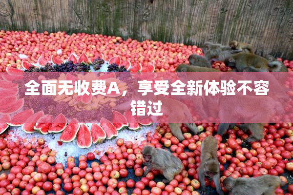 全面无收费A，享受全新体验不容错过
