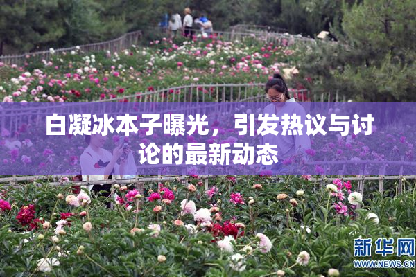 白凝冰本子曝光，引发热议与讨论的最新动态