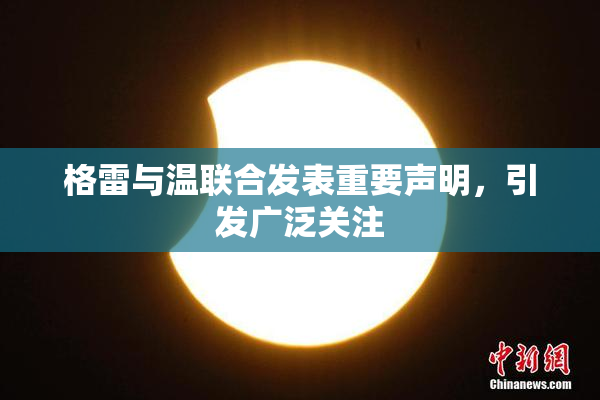 格雷与温联合发表重要声明，引发广泛关注