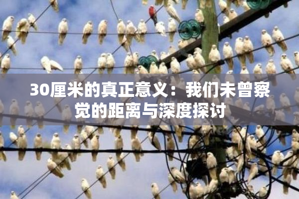 30厘米的真正意义：我们未曾察觉的距离与深度探讨