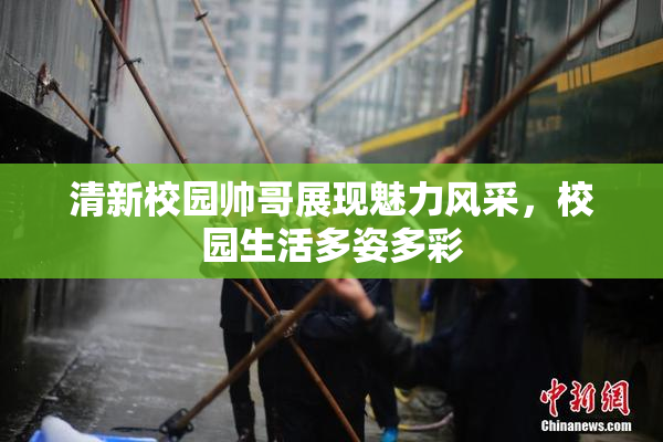 清新校园帅哥展现魅力风采，校园生活多姿多彩