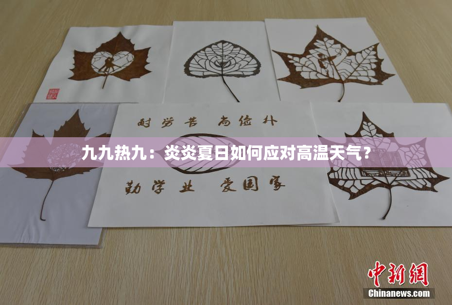 九九热九：炎炎夏日如何应对高温天气？