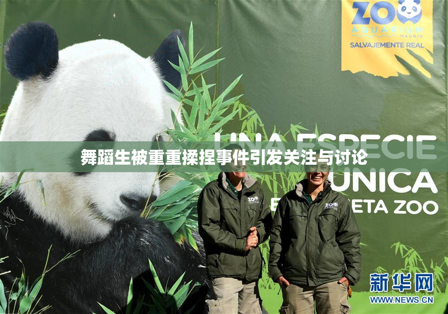 舞蹈生被重重揉捏事件引发关注与讨论