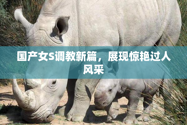 国产女S调教新篇，展现惊艳过人风采