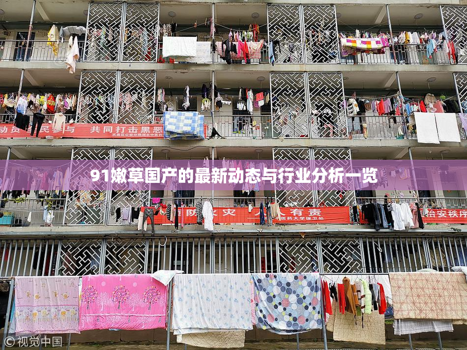 91嫩草国产的最新动态与行业分析一览