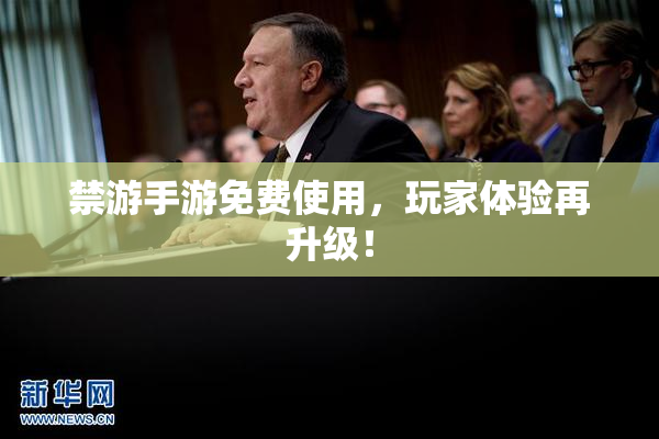 禁游手游免费使用，玩家体验再升级！