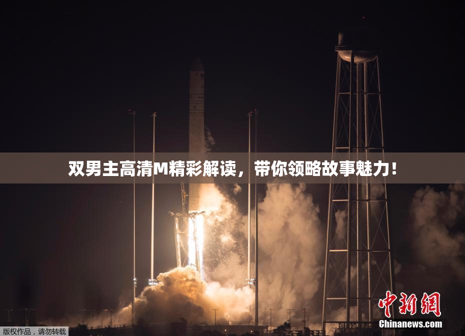 双男主高清M精彩解读，带你领略故事魅力！