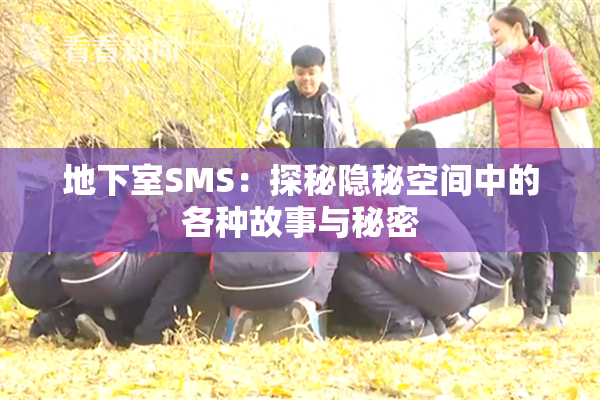地下室SMS：探秘隐秘空间中的各种故事与秘密