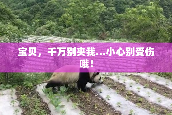 宝贝，千万别夹我…小心别受伤哦！