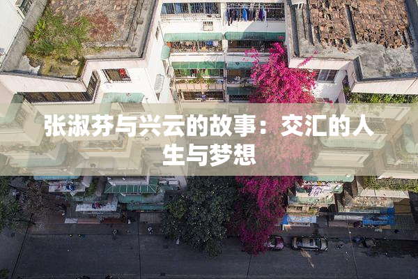 张淑芬与兴云的故事：交汇的人生与梦想