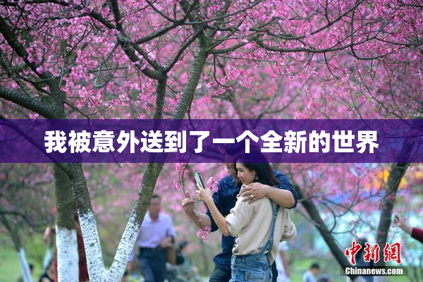 我被意外送到了一个全新的世界