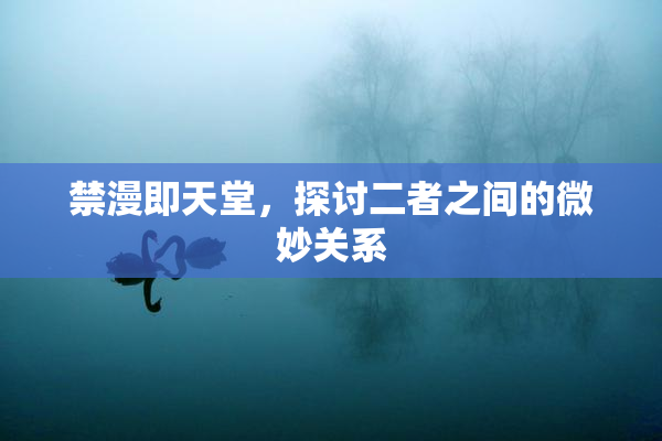 禁漫即天堂，探讨二者之间的微妙关系