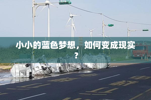 小小的蓝色梦想，如何变成现实？