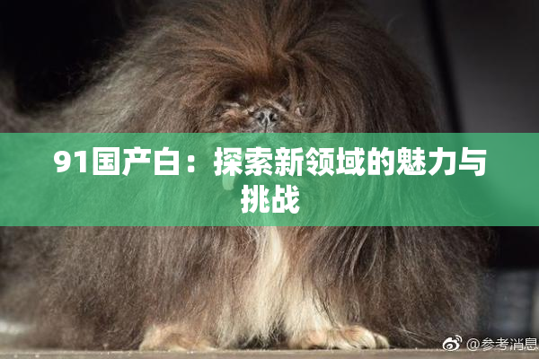 91国产白：探索新领域的魅力与挑战