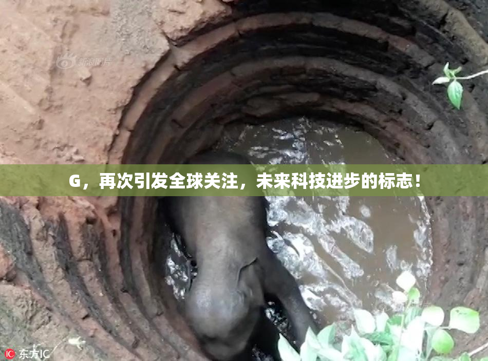 G，再次引发全球关注，未来科技进步的标志！