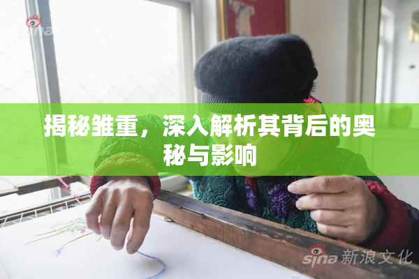 揭秘雏重，深入解析其背后的奥秘与影响