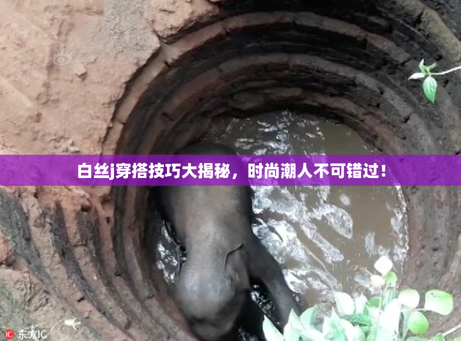 白丝j穿搭技巧大揭秘，时尚潮人不可错过！