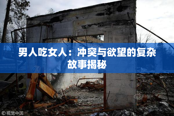 男人吃女人：冲突与欲望的复杂故事揭秘