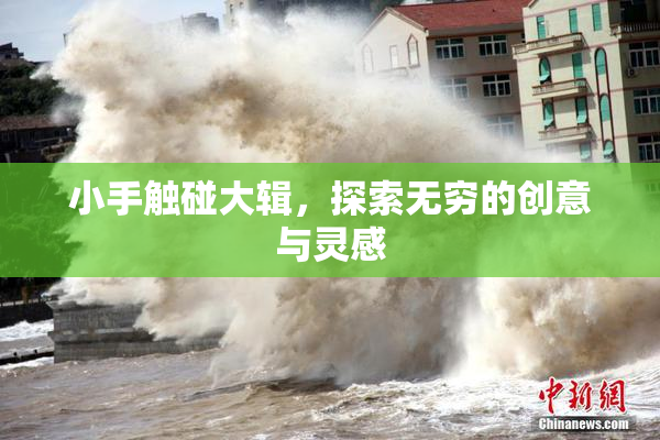 小手触碰大辑，探索无穷的创意与灵感