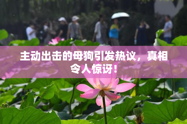 主动出击的母狗引发热议，真相令人惊讶！