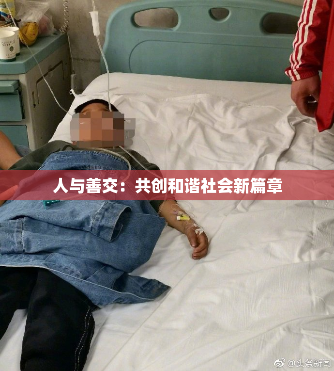 人与善交：共创和谐社会新篇章