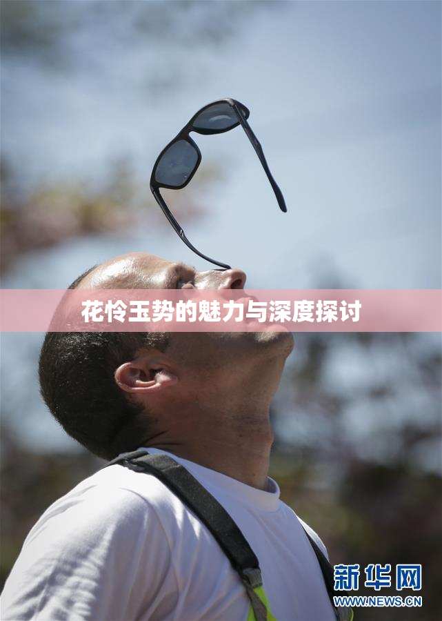 花怜玉势的魅力与深度探讨