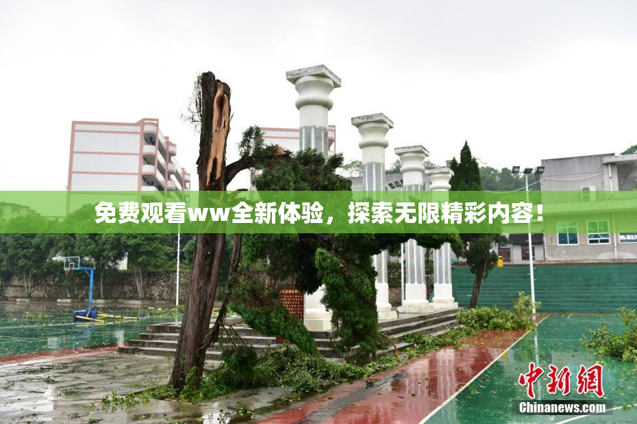 免费观看ww全新体验，探索无限精彩内容！