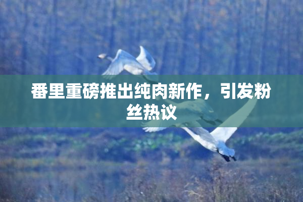 番里重磅推出纯肉新作，引发粉丝热议