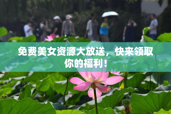 免费美女资源大放送，快来领取你的福利！