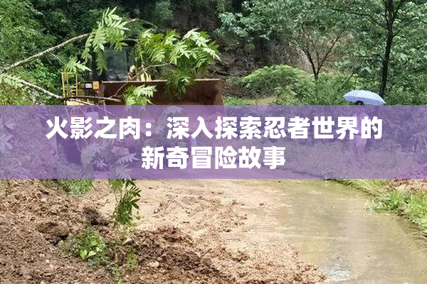 火影之肉：深入探索忍者世界的新奇冒险故事