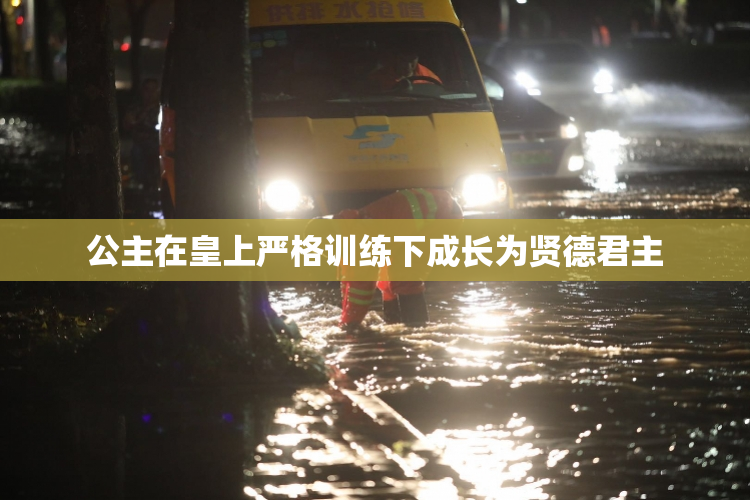 公主在皇上严格训练下成长为贤德君主