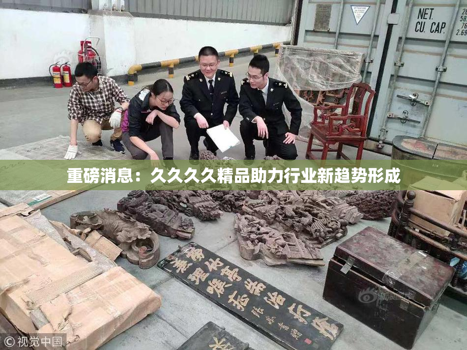 重磅消息：久久久久精品助力行业新趋势形成