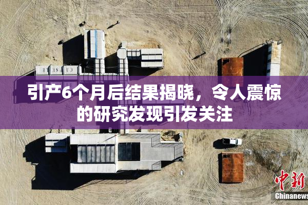 引产6个月后结果揭晓，令人震惊的研究发现引发关注