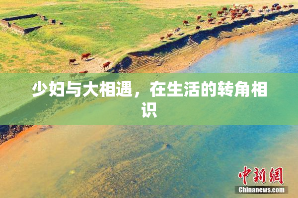 少妇与大相遇，在生活的转角相识