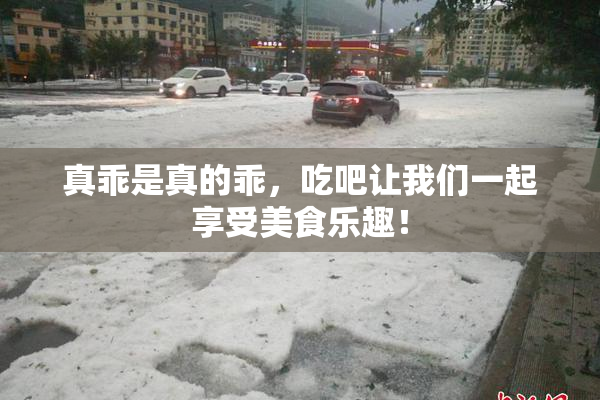 真乖是真的乖，吃吧让我们一起享受美食乐趣！