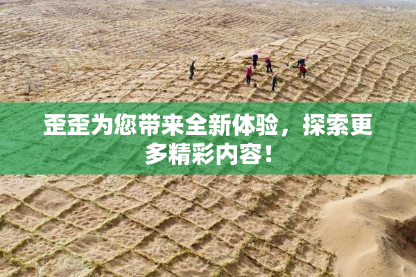 歪歪为您带来全新体验，探索更多精彩内容！