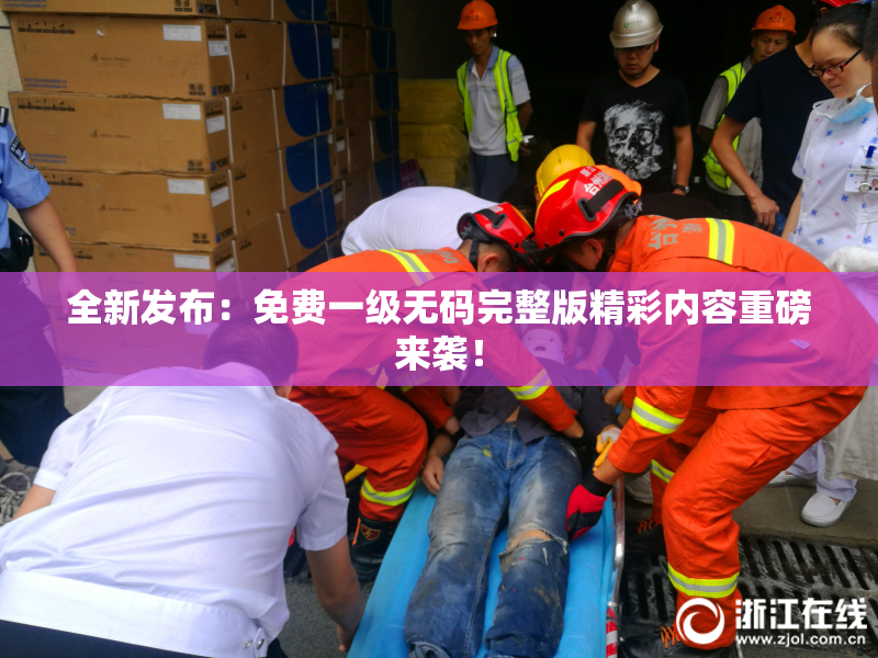 全新发布：免费一级无码完整版精彩内容重磅来袭！