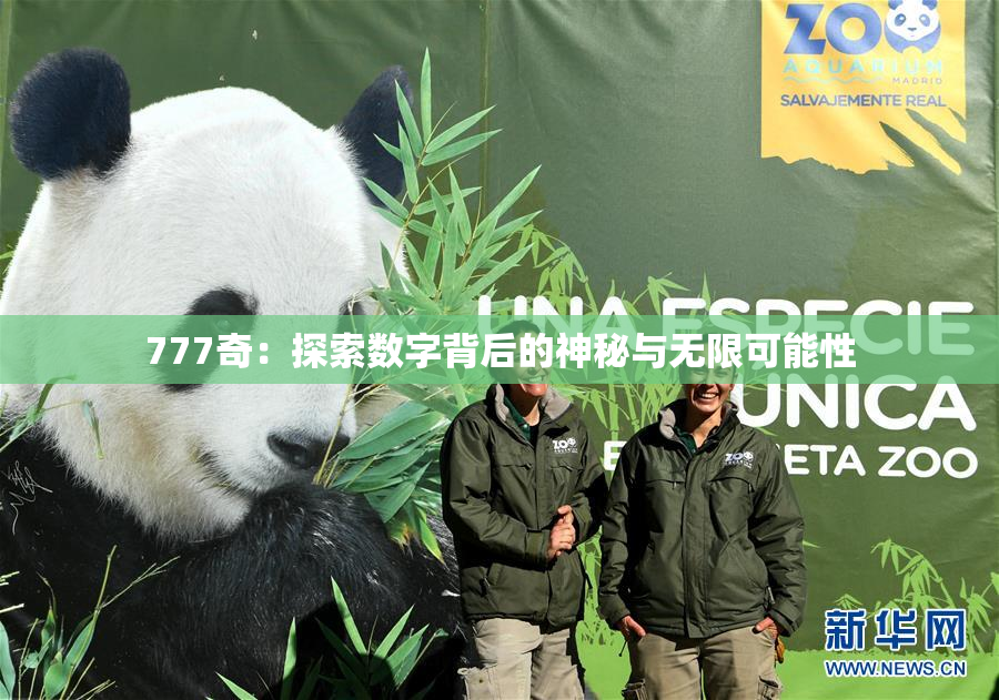 777奇：探索数字背后的神秘与无限可能性