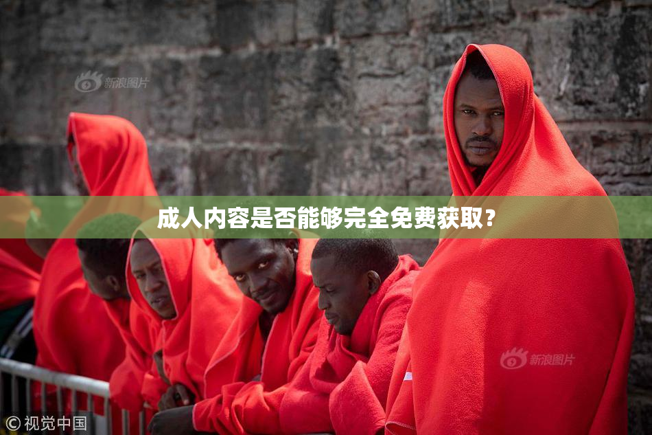 成人内容是否能够完全免费获取？